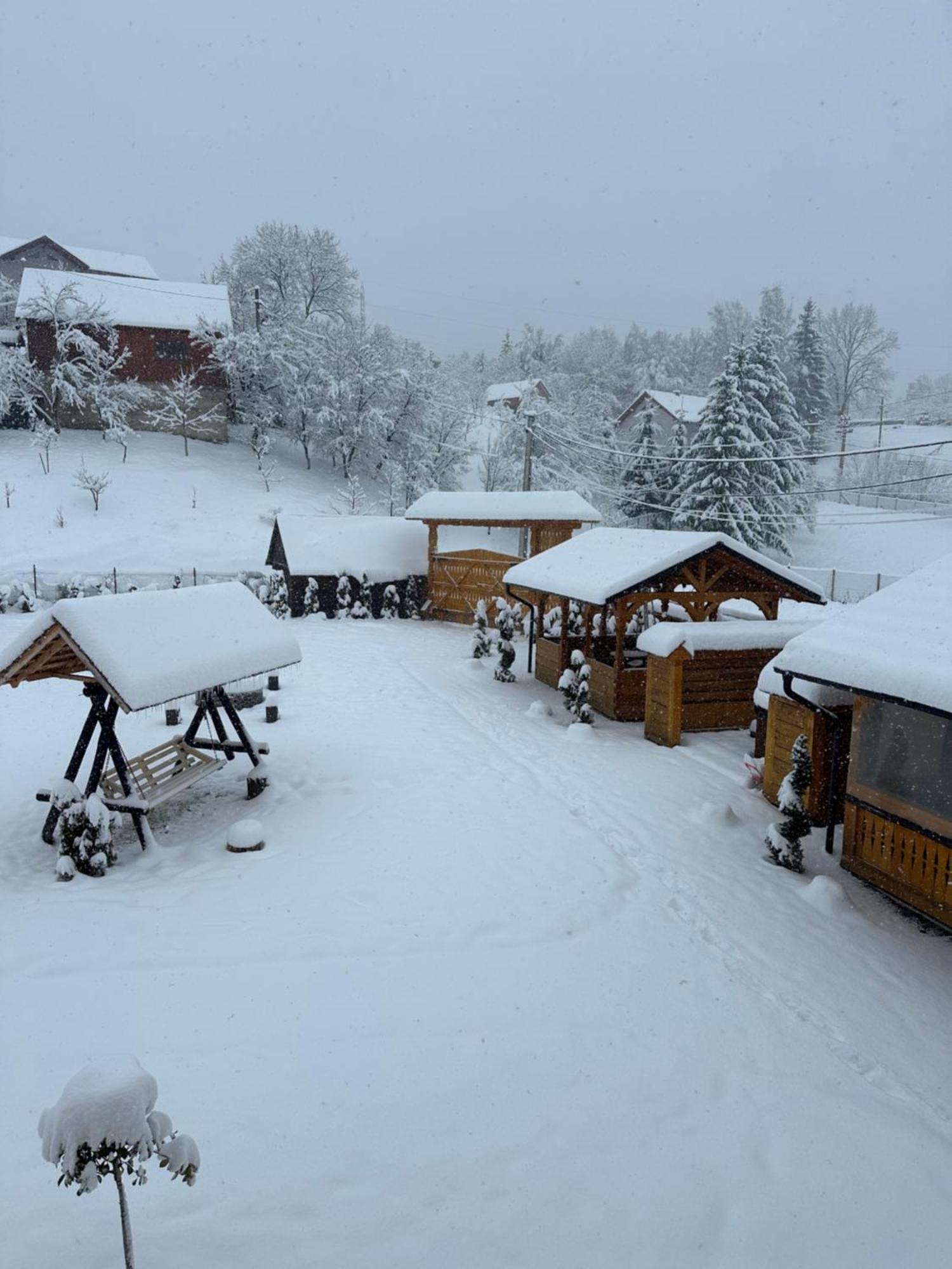 Popasul Din Vale Hotel Moisei Buitenkant foto