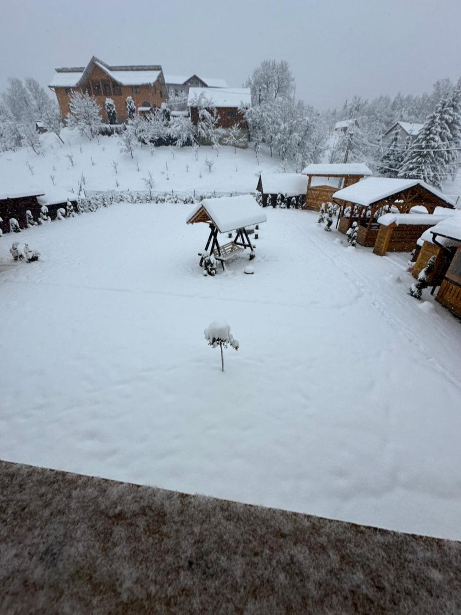 Popasul Din Vale Hotel Moisei Buitenkant foto
